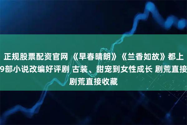 正规股票配资官网 《早春晴朗》《兰香如故》都上榜！9部小说改编好评剧 古装、甜宠到女性成长 剧荒直接收藏